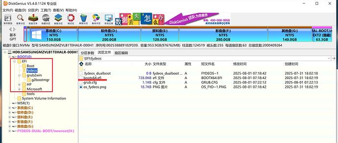 diskgenius5.4